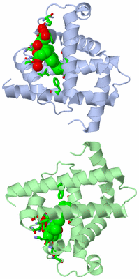 Image Asym. Unit - sites