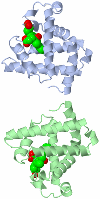 Image Asymmetric Unit