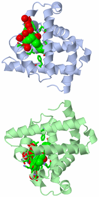 Image Asym. Unit - sites