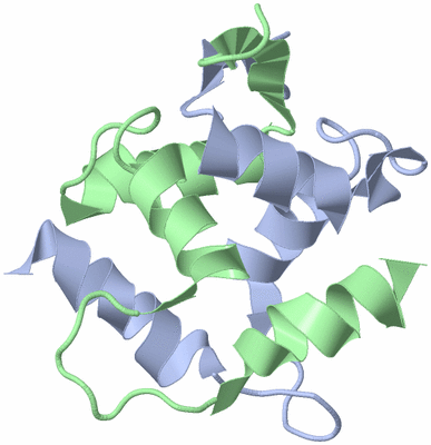 Image NMR Structure - model 1