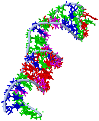 Image NMR Structure - model 1