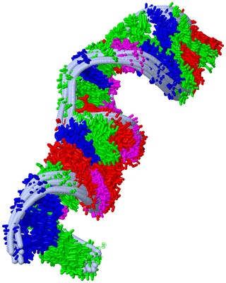 Image NMR Structure - all models
