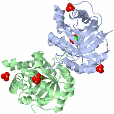 Image Asym./Biol. Unit