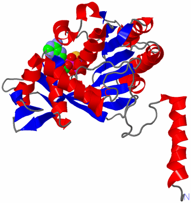 Image Asym./Biol. Unit