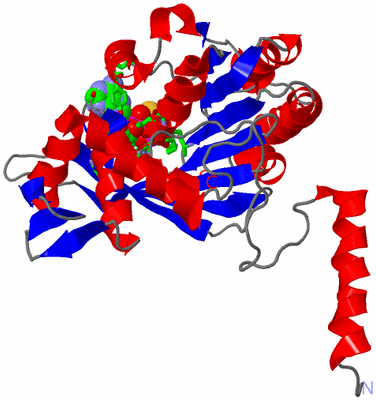 Image Asym./Biol. Unit - sites