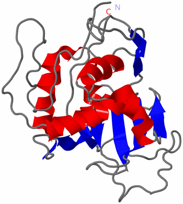 Image NMR Structure - model 1