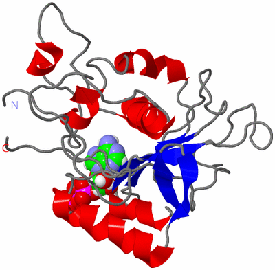 Image NMR Structure - model 1