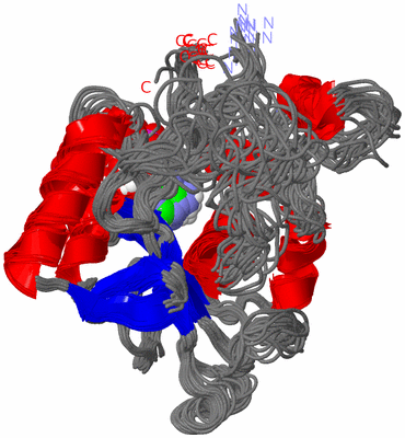 Image NMR Structure - all models