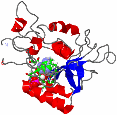 Image NMR Structure - model 1, sites