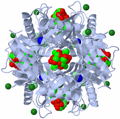 Image Biological Unit 1