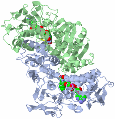 Image Biological Unit 1