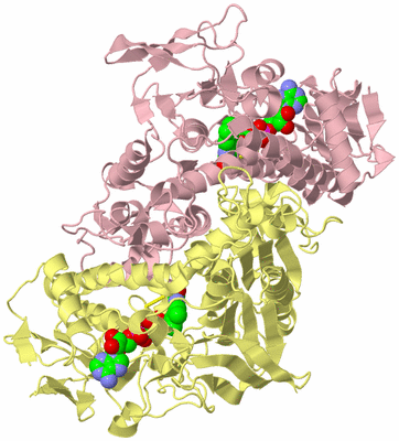 Image Biological Unit 2