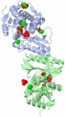 Image Biological Unit 2