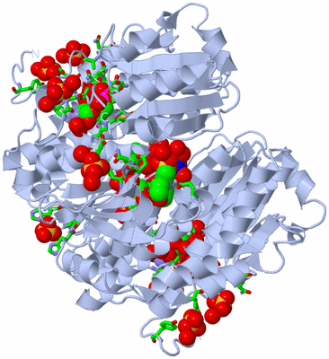 Image Biol. Unit 1 - sites