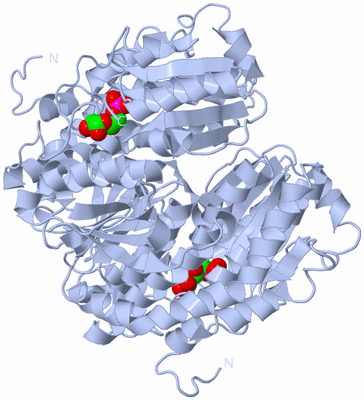 Image Biological Unit 1