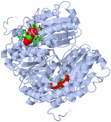 Image Biol. Unit 1 - sites