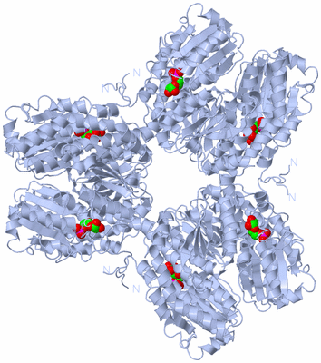 Image Biological Unit 2