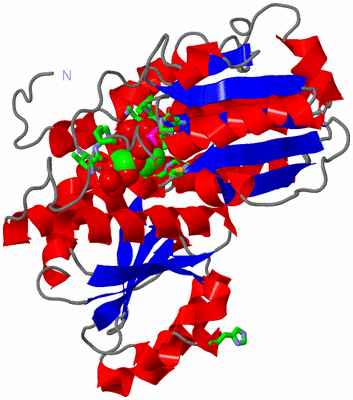 Image Asym. Unit - sites