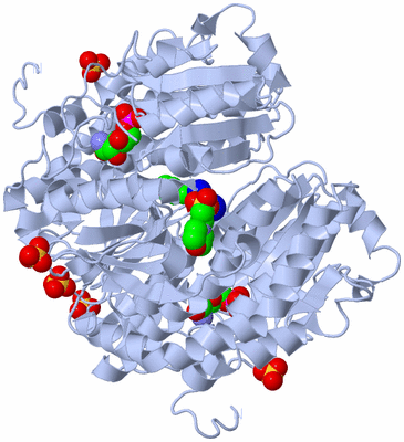 Image Biological Unit 1