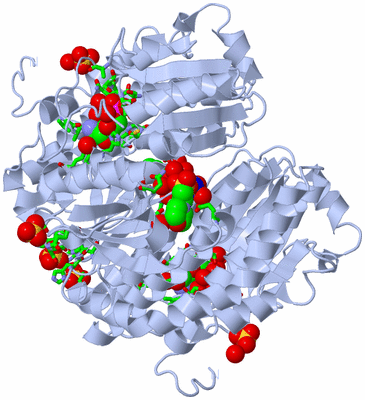 Image Biol. Unit 1 - sites