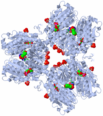 Image Biological Unit 2