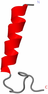 Image NMR Structure - model 1