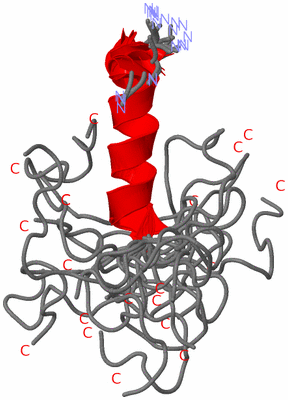 Image NMR Structure - all models