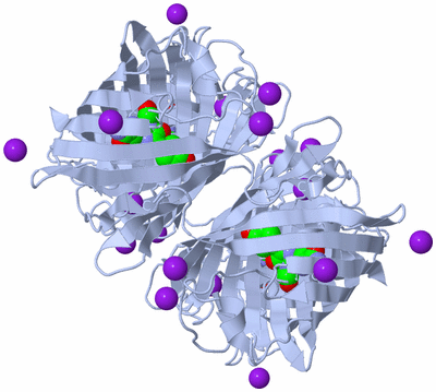 Image Biological Unit 2