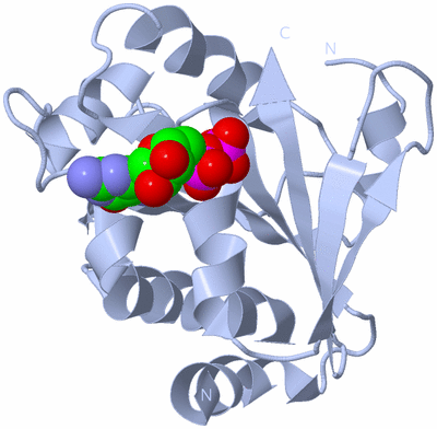 Image Biological Unit 1