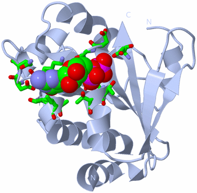 Image Biol. Unit 1 - sites