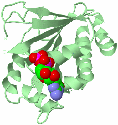 Image Biological Unit 2