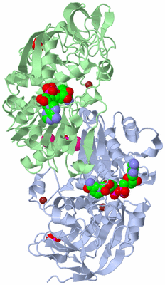 Image Asym./Biol. Unit