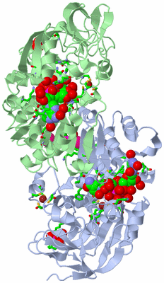 Image Asym./Biol. Unit - sites