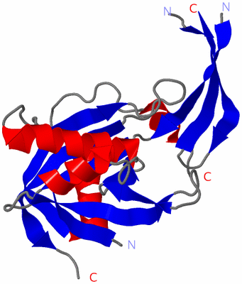 Image Asymmetric Unit