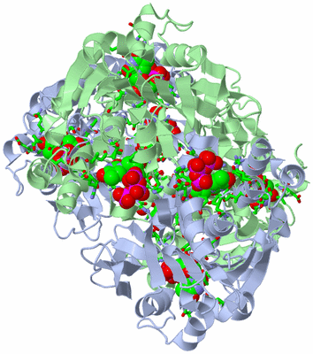 Image Biol. Unit 1 - sites