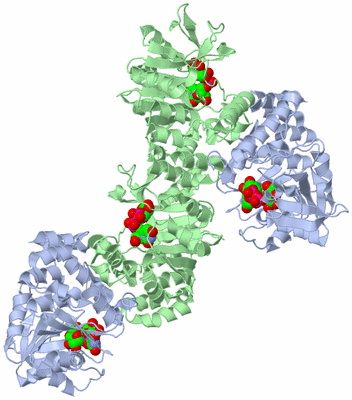 Image Biological Unit 1