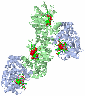 Image Biol. Unit 1 - sites