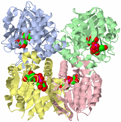 Image Asym./Biol. Unit