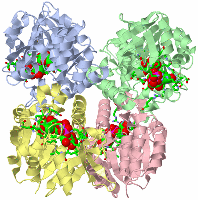 Image Asym./Biol. Unit - sites