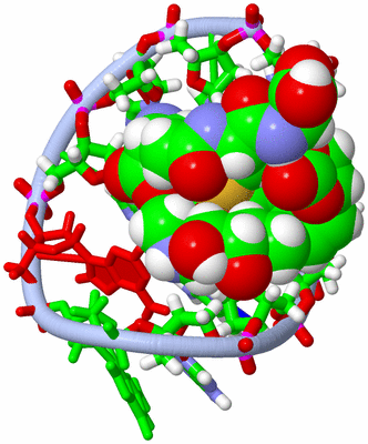 Image NMR Structure - model 1, sites