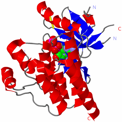 Image Asym./Biol. Unit