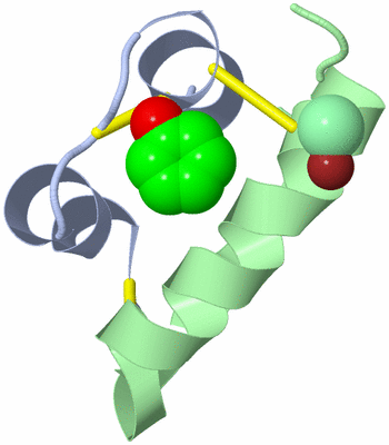 Image Biological Unit 1