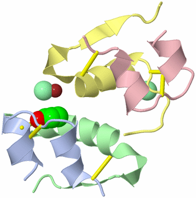 Image Biological Unit 4