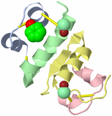 Image Biological Unit 5