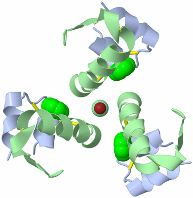 Image Biological Unit 6