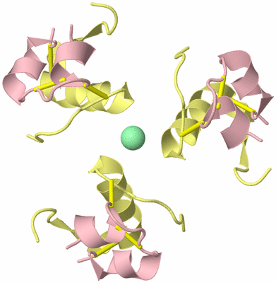 Image Biological Unit 7