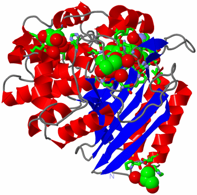 Image Asym./Biol. Unit - sites