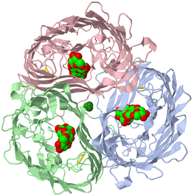 Image Asym./Biol. Unit