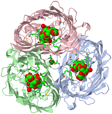 Image Asym./Biol. Unit - sites