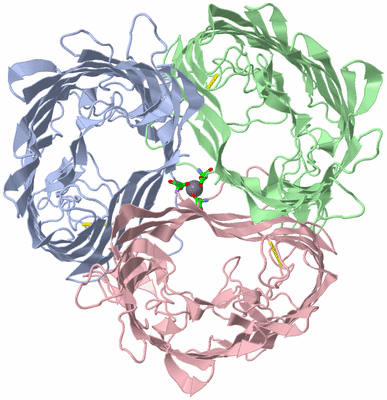 Image Asym./Biol. Unit - sites